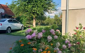 Apartman Mauro